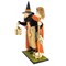 Bethany Lowe 20.0 Inch Potion Peddler Zelda Witch Halloween Figurine , Portable Halloween Decor Halloween Spells